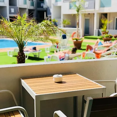 Surf Lions House *